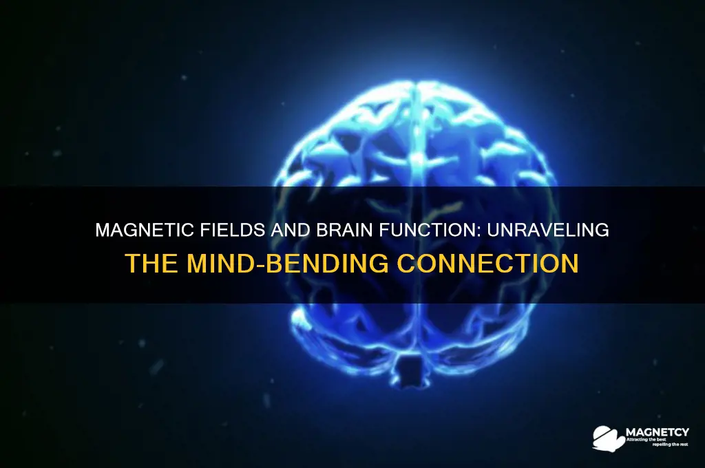 can magnetic fields affect the brain