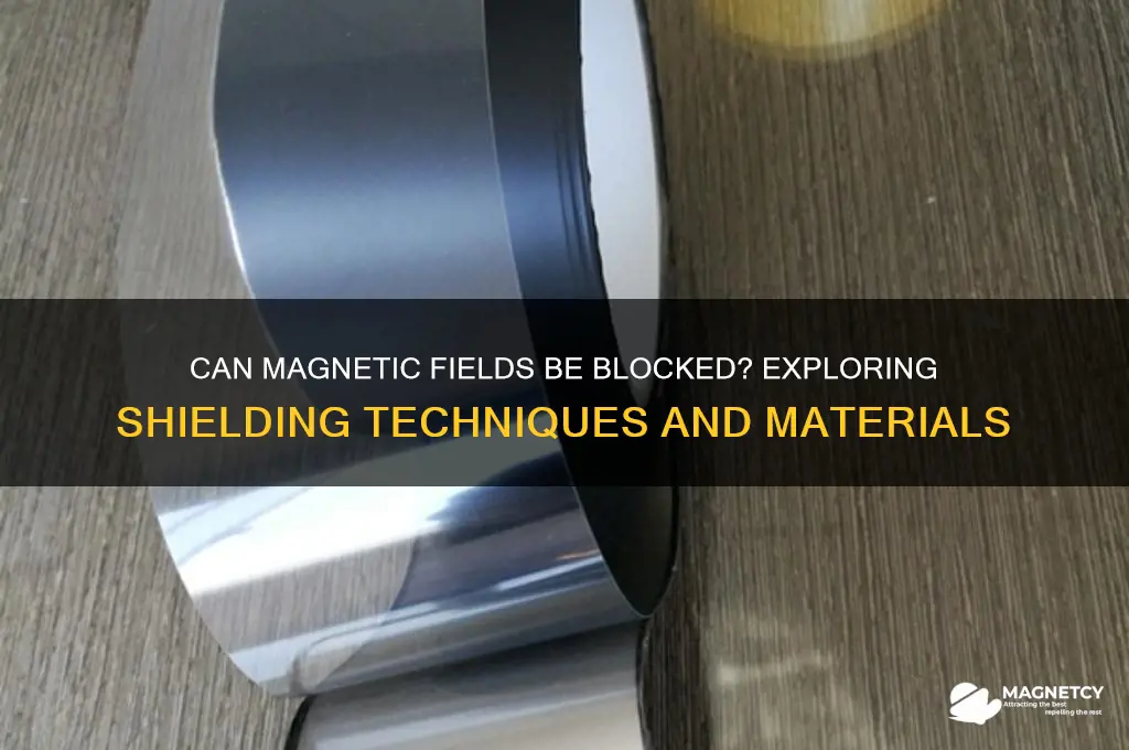 can magnetic fields be bloced