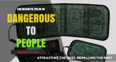 Magnetic Fields and Human Health: Potential Risks Explained