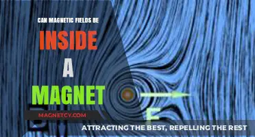 Exploring the Science: Are Magnetic Fields Contained Inside Magnets?