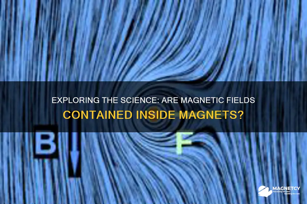 can magnetic fields be inside a magnet