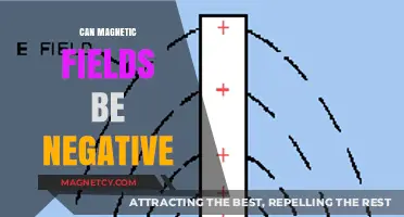 Exploring the Polarity: Can Magnetic Fields Be Negative?