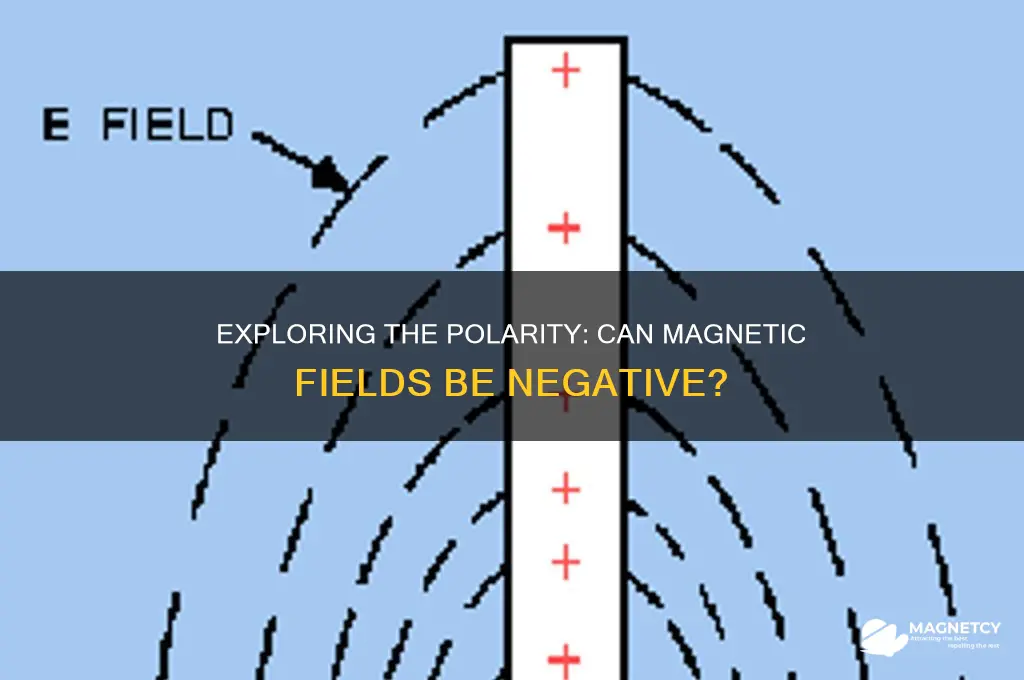 can magnetic fields be negative