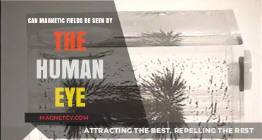 Can Humans See Magnetic Fields? Unveiling the Invisible Forces