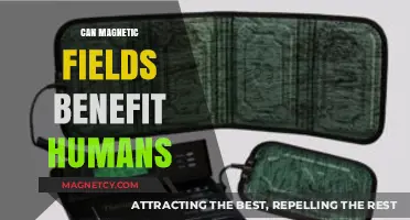 Magnetic Fields and Human Health: Unlocking Potential Benefits and Applications