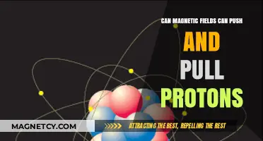 Magnetic Fields' Influence: Pushing and Pulling Protons Explained