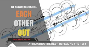 Magnetic Field Cancellation: How Opposing Forces Neutralize Each Other