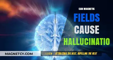 Magnetic Fields and Hallucinations: Unraveling the Mind-Bending Connection