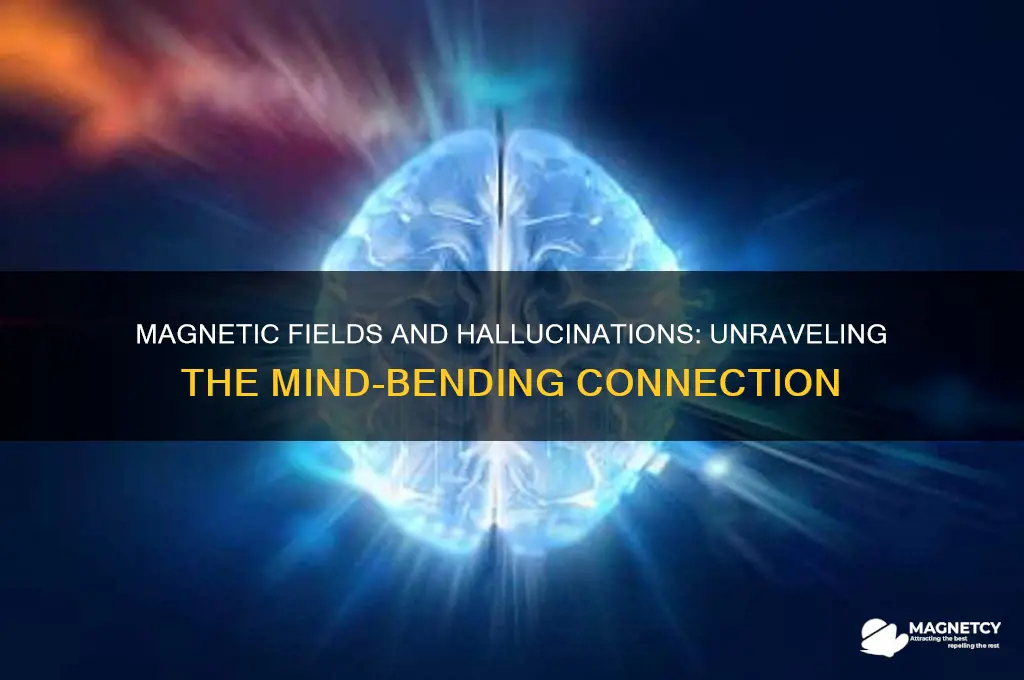can magnetic fields cause hallucinations