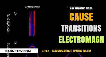 Exploring Magnetic Fields' Role in Triggering Electromagnetic Transitions
