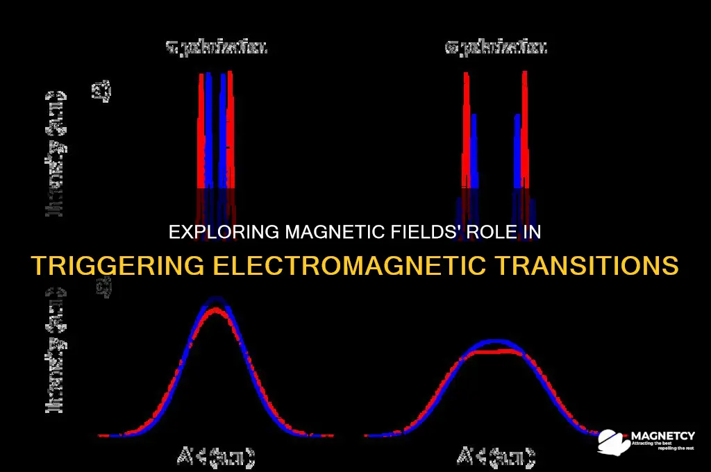 can magnetic fields cause transitions electromagnetism