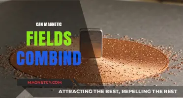 Exploring the Science: Can Magnetic Fields Combine and How?