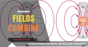 Exploring Magnetic Field Interactions: Can They Combine and How?