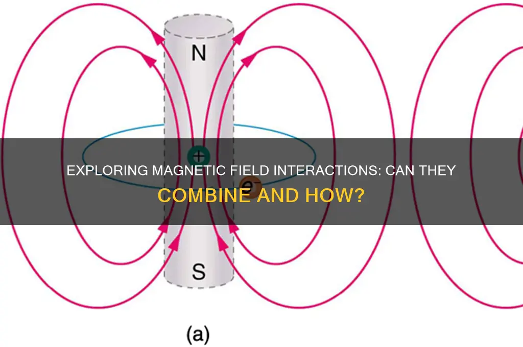 can magnetic fields combine