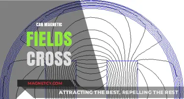 Can Magnetic Fields Cross Boundaries: Exploring Interference and Interaction