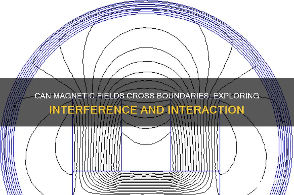 can magnetic fields cross