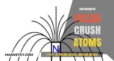 Magnetic Fields vs. Atoms: Can They Crush Atomic Structures?