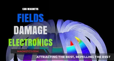 Shielding Your Gadgets: The Impact of Magnetic Fields on Electronics
