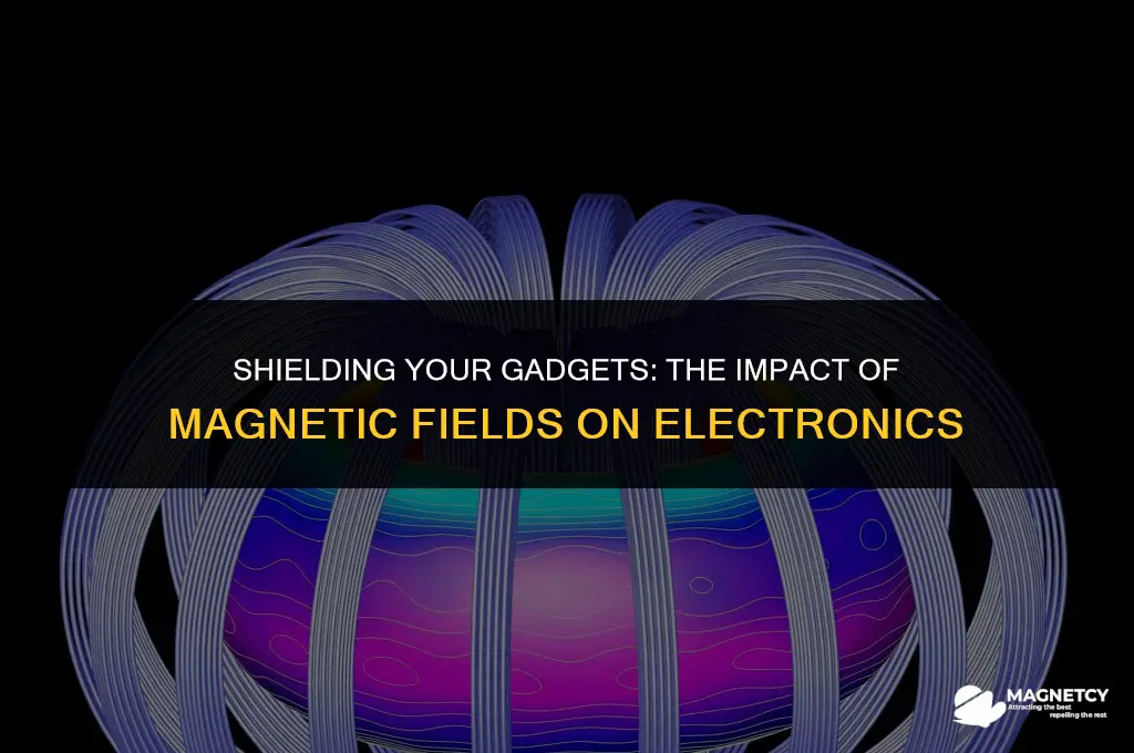 can magnetic fields damage electronics