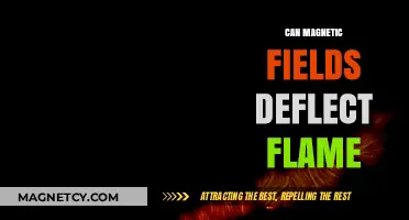 Magnetic Fields vs. Fire: Can Flames Be Deflected by Magnets?