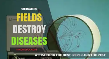 Magnetic Fields vs. Diseases: Revolutionary Healing or Medical Myth?