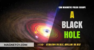 Can Magnetic Fields Escape Black Holes? Unraveling Cosmic Mysteries