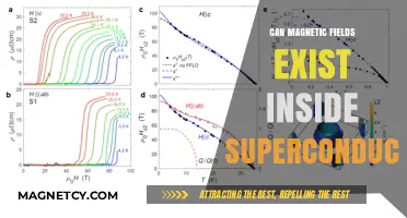 Exploring Magnetic Fields Within Superconductors: Possibilities and Limitations