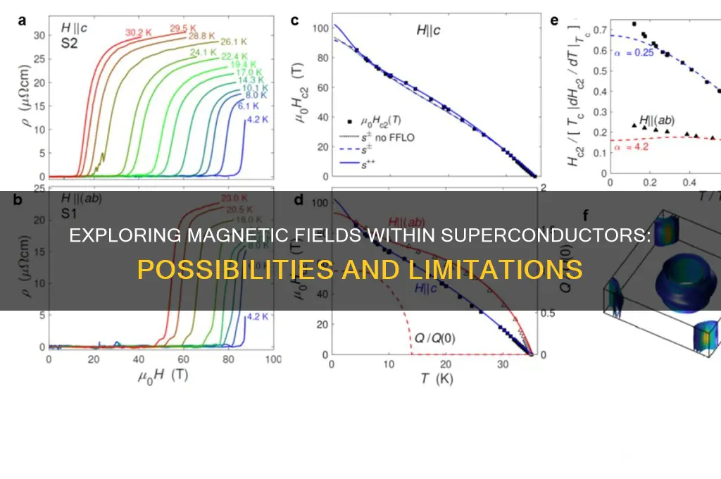 can magnetic fields exist inside superconductors