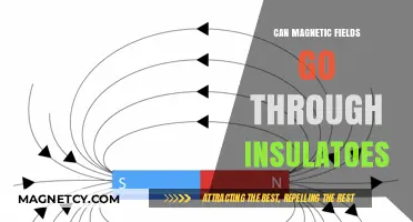 Can Magnetic Fields Penetrate Insulators? Exploring Material Interactions