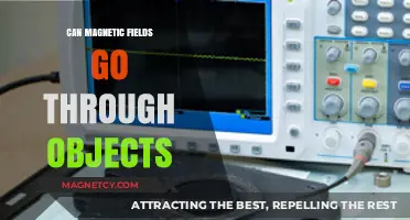 Can Magnetic Fields Penetrate Objects? Exploring Material Permeability