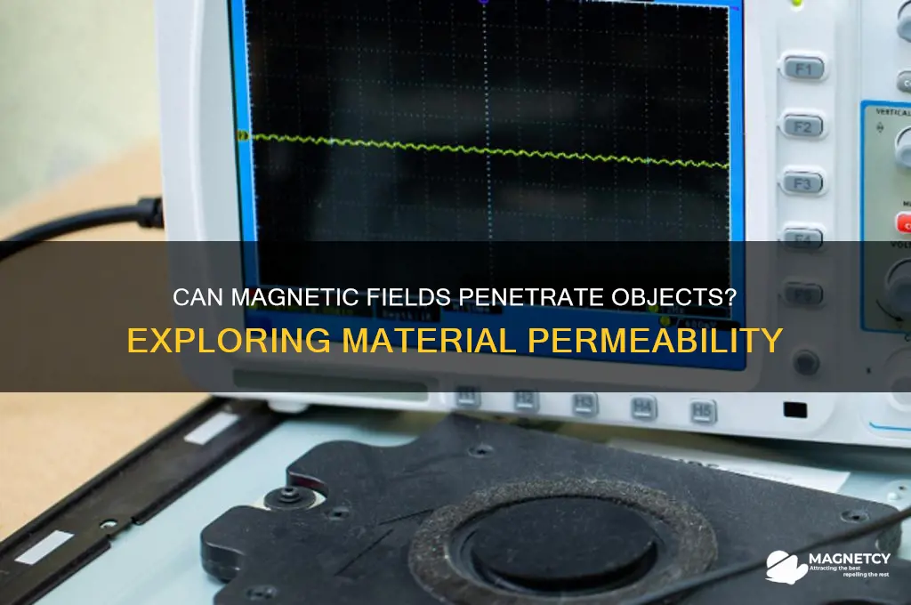 can magnetic fields go through objects