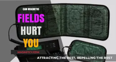 Magnetic Fields and Health: Potential Risks and Safety Concerns