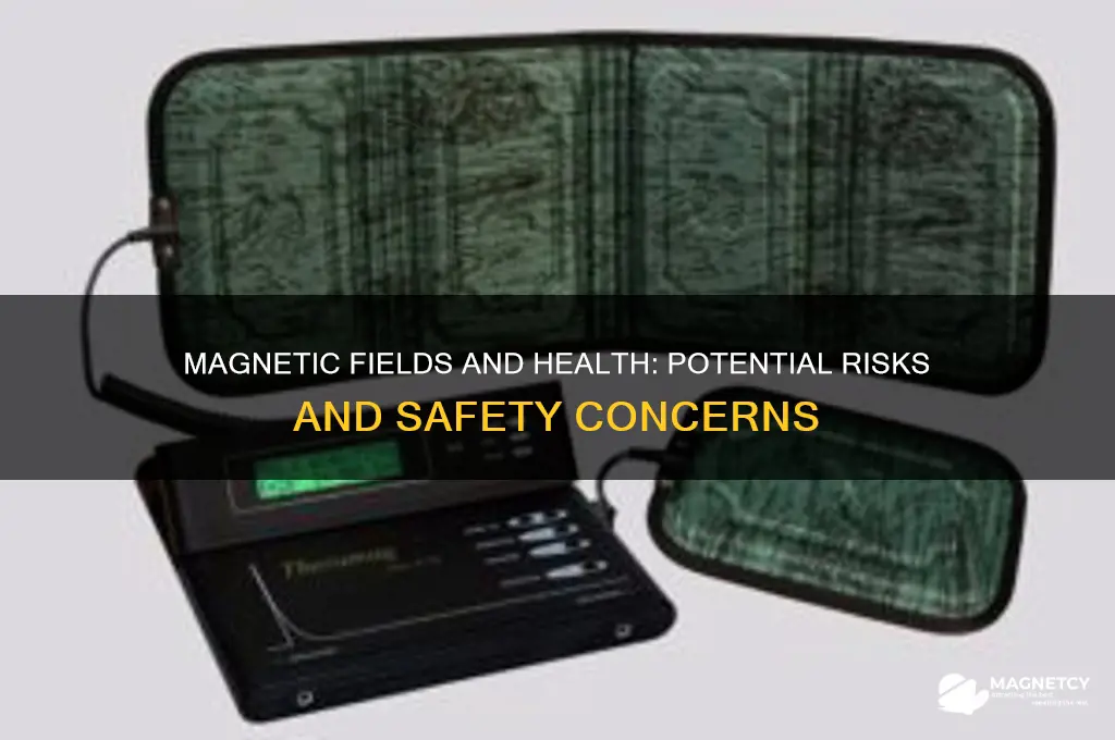 can magnetic fields hurt you