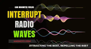 Magnetic Fields vs. Radio Waves: Understanding Potential Interference and Impacts