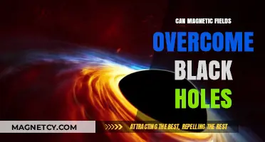 Magnetic Fields vs. Black Holes: Can They Defy the Ultimate Gravity?