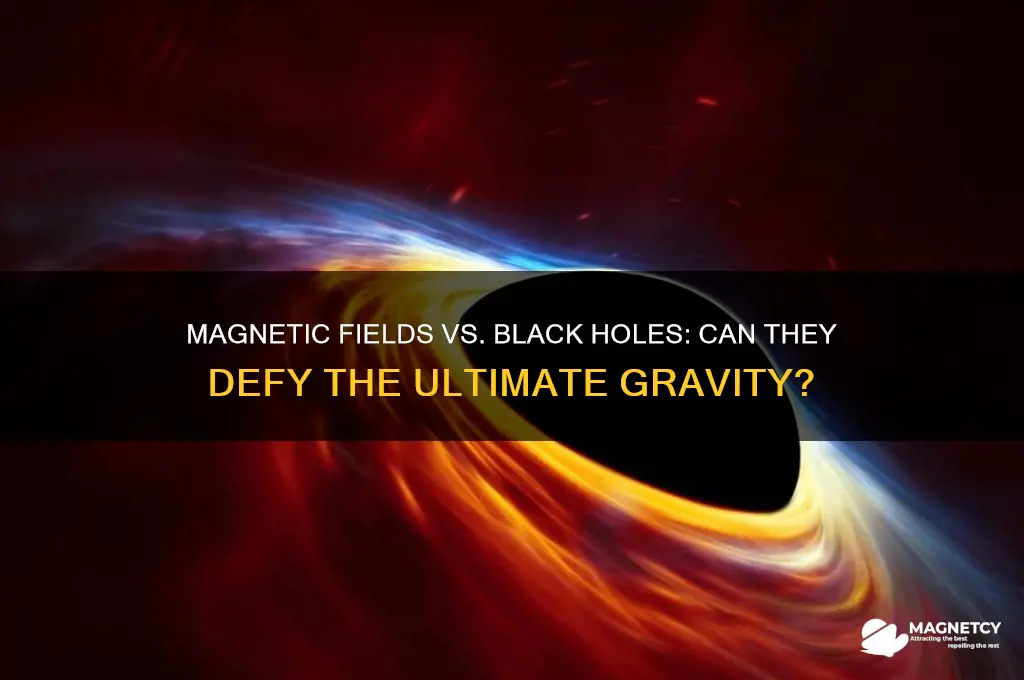 can magnetic fields overcome black holes