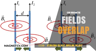 Exploring Magnetic Field Overlap: Can Multiple Fields Coexist in Space?