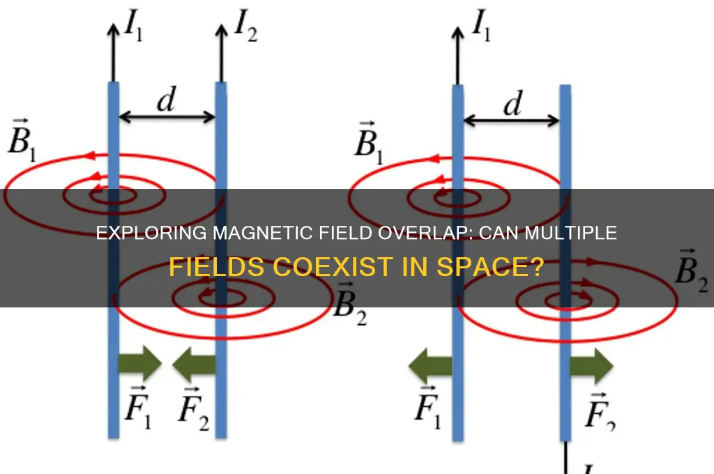 can magnetic fields overlap