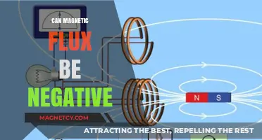 Exploring Magnetic Flux: Can Its Value Ever Be Negative?