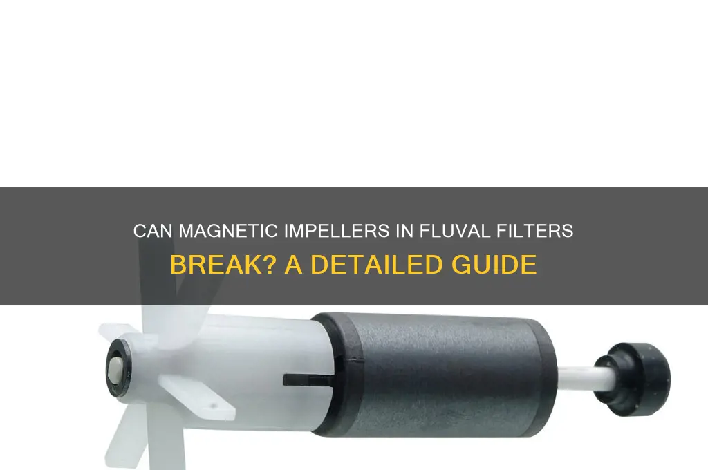 can magnetic impeller on fluval fish tank filter break
