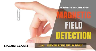 Magnetic Implants: Unlocking the Ability to Sense Magnetic Fields?