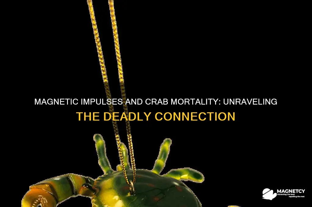 can magnetic impulses cause crabs to die