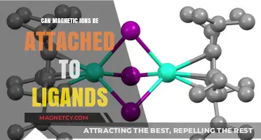 Exploring Ligand Binding: Can Magnetic Ions Attach to Ligands?