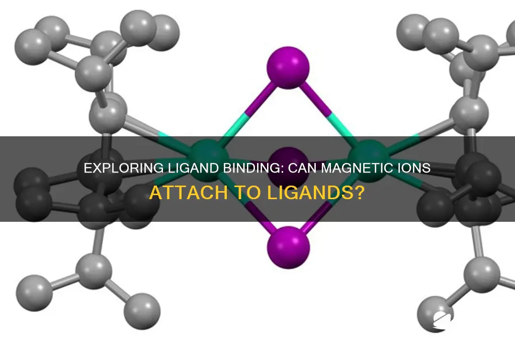 can magnetic ions be attached to ligands