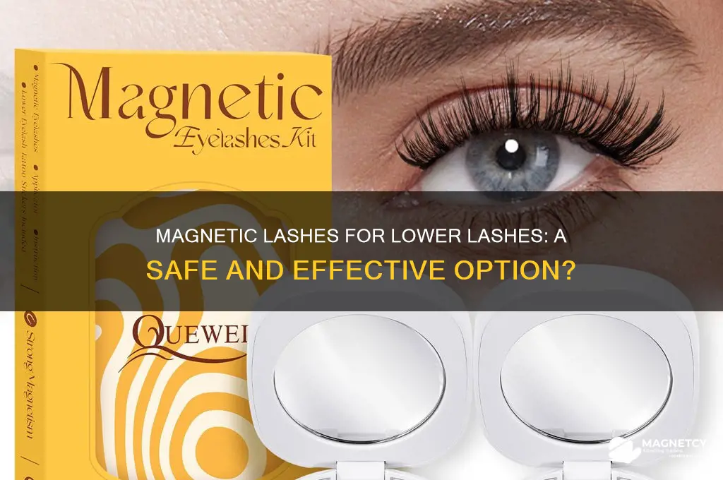 can magnetic lashes be used on lower lashes