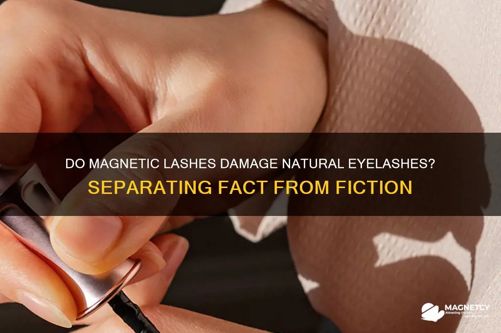 can magnetic lashes pull your eyelasges off