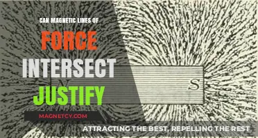 Can Magnetic Lines of Force Intersect? Justifying the Scientific Principle