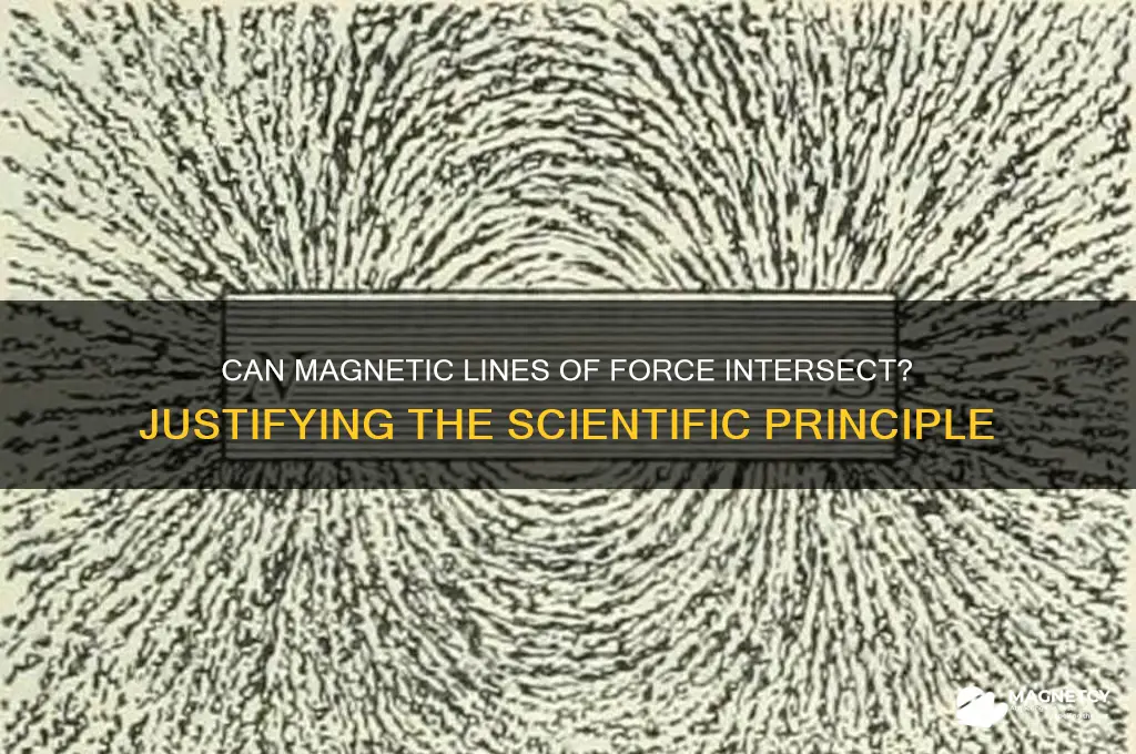 can magnetic lines of force intersect justify