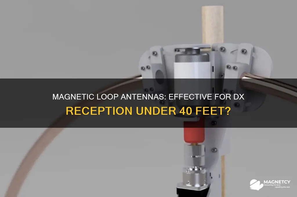 can magnetic loop antennas receive dx under 40 feet