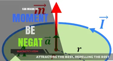Exploring the Possibility of a Negative Magnetic Moment